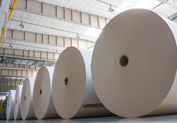 Duplex Board White Back