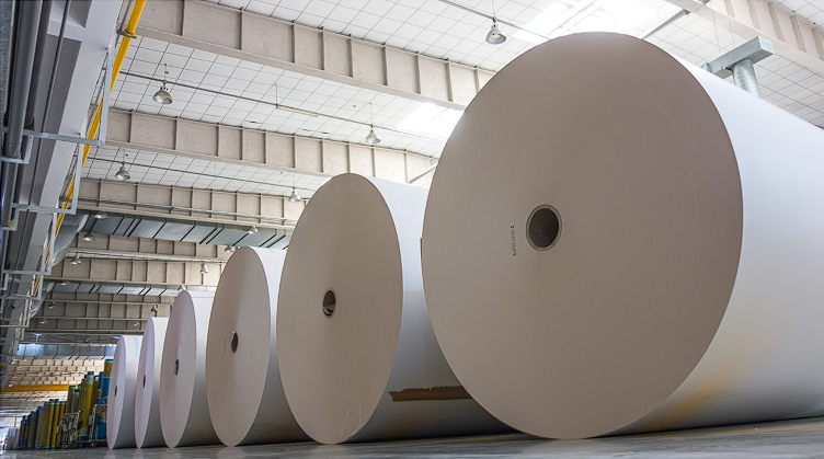 Duplex Board White Back